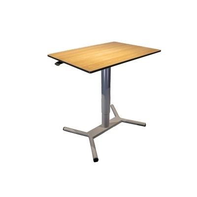 Ergodesk School