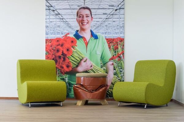 AB Vakwerk Emmeloord