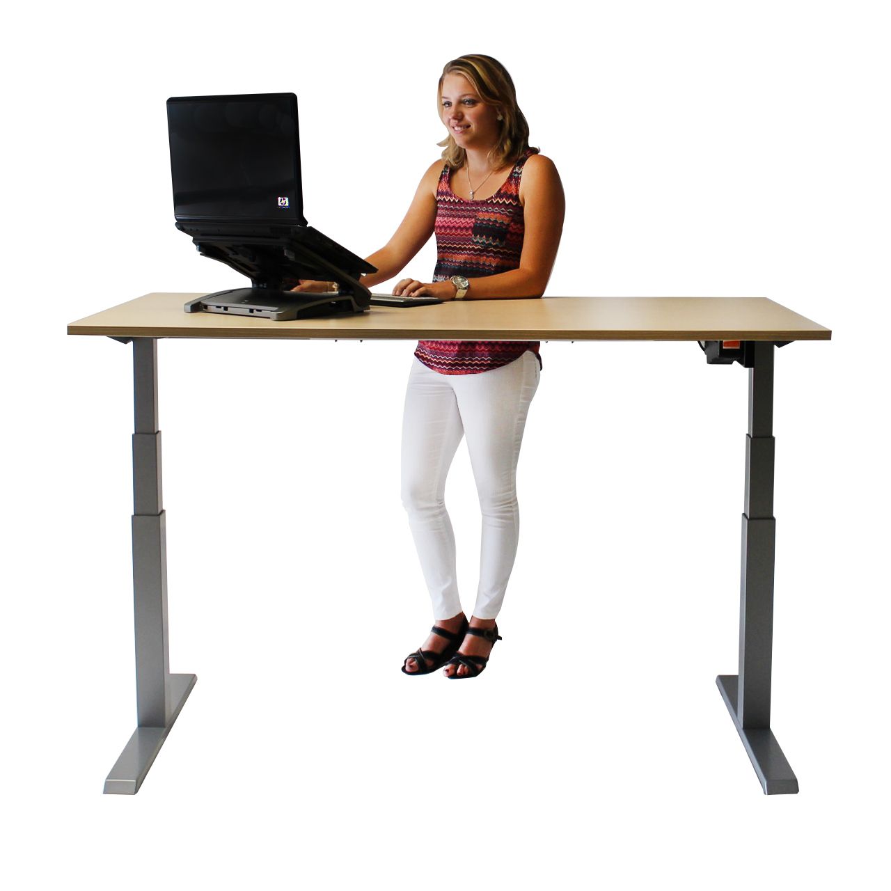 Accommodatie Handvest Interpretatief Ergodesk E2T Elektrisch verstelbaar bureau - Health2Work - Health2Work