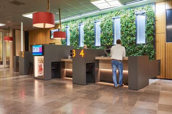 Gemeente Oostellingwerf